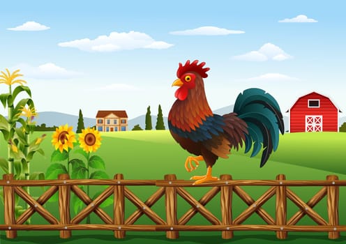 Cartoon rooster crowing at farm field in the morning with sun rising