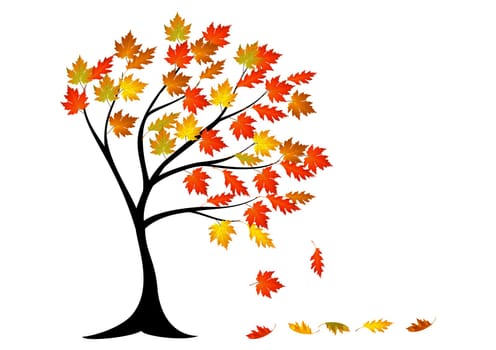 Illustration of autumn tree