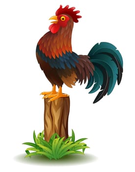Cartoon rooster crowing isolated on white background