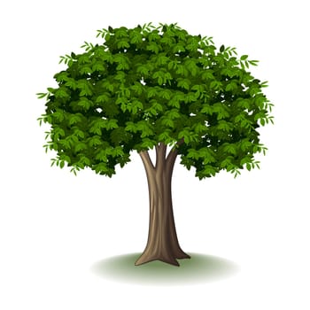 Illustration of a tree isolated on white background