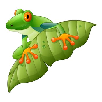 Cartoon red-Eyed Amazon Tree Frog on green leaf