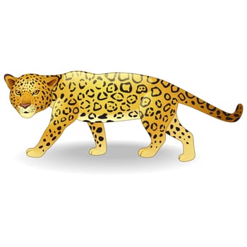 Cute cheetah cartoon
