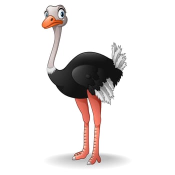 Cute ostrich cartoon