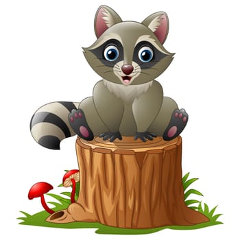 Cute raccoon on the tree log