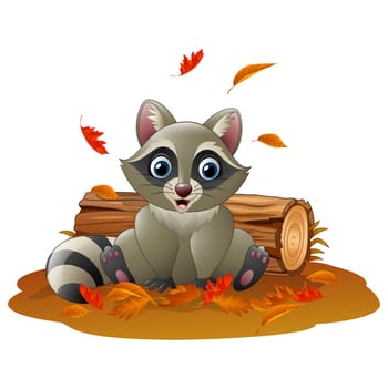 Cute raccoon on the tree log