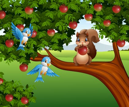 illustration of Cute squirrel on the apple tree