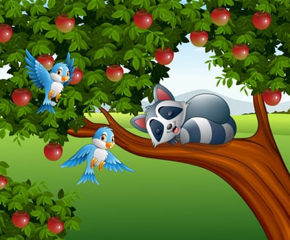 Cartoon raccoon sleep on the apple tree