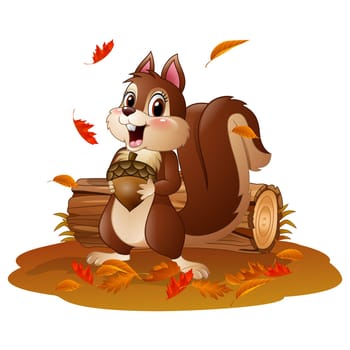 Cartoon squirrel holding acorn