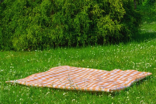 Orange picnic blanket. Yellow checkered picnic cloth on a flowering meadow with daisy flowers. Beautiful backdrop for your product placement or montage.