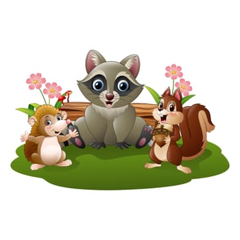 Cartoon funny hedgehog, raccoon and squirrel