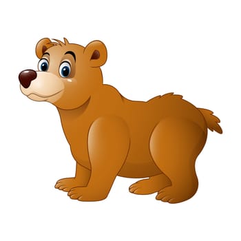 Cute baby bear cartoon