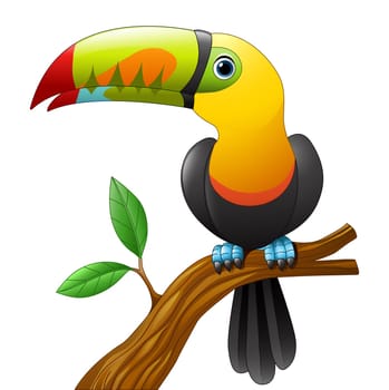 toucan cartoon sitting on the branch