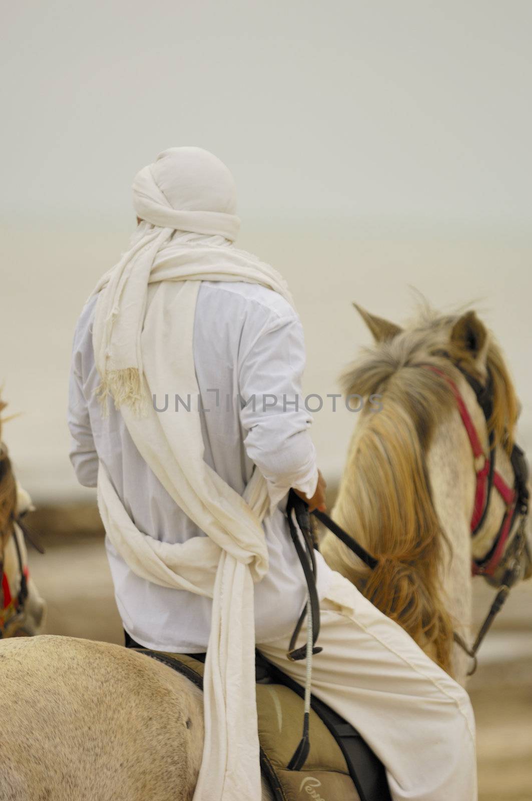 Ride on the beach