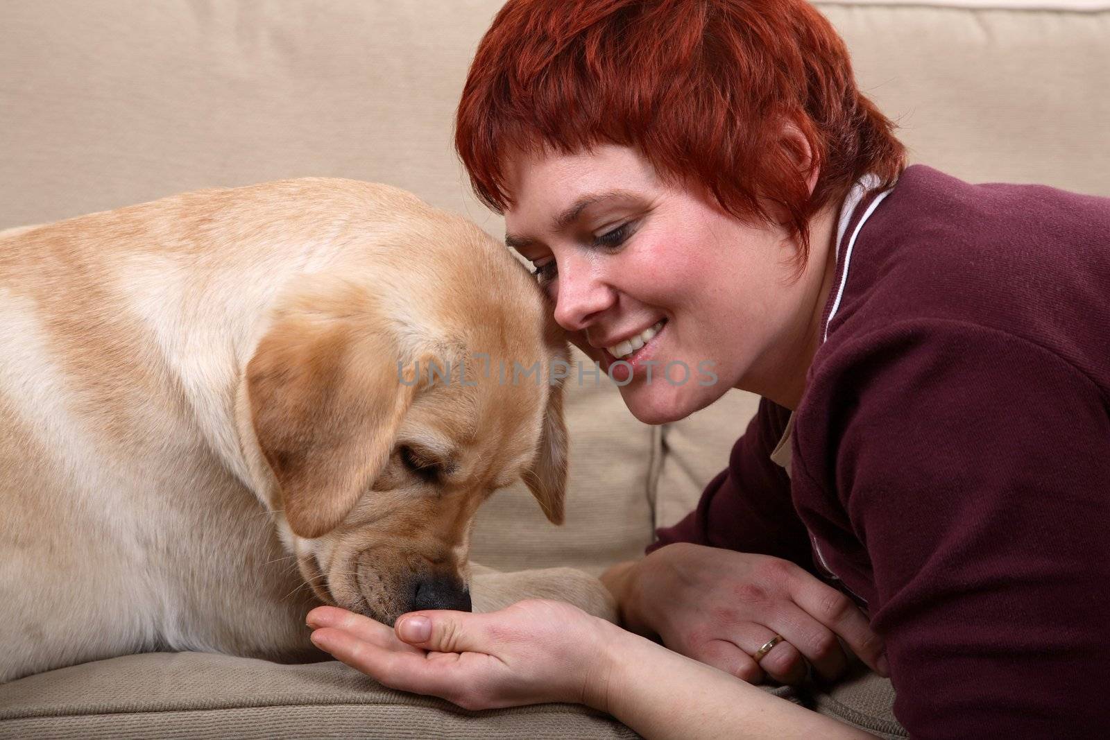 A matured caucasian woman feeding  her young Labrador dog on the sofa