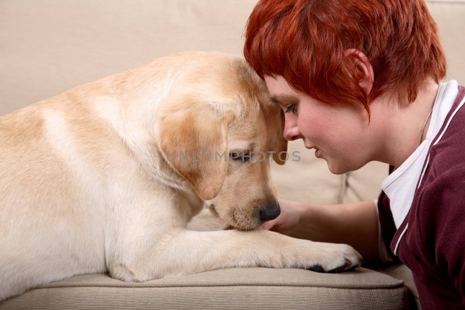 A matured caucasian woman and her young Labrador dog bonding on the sofa