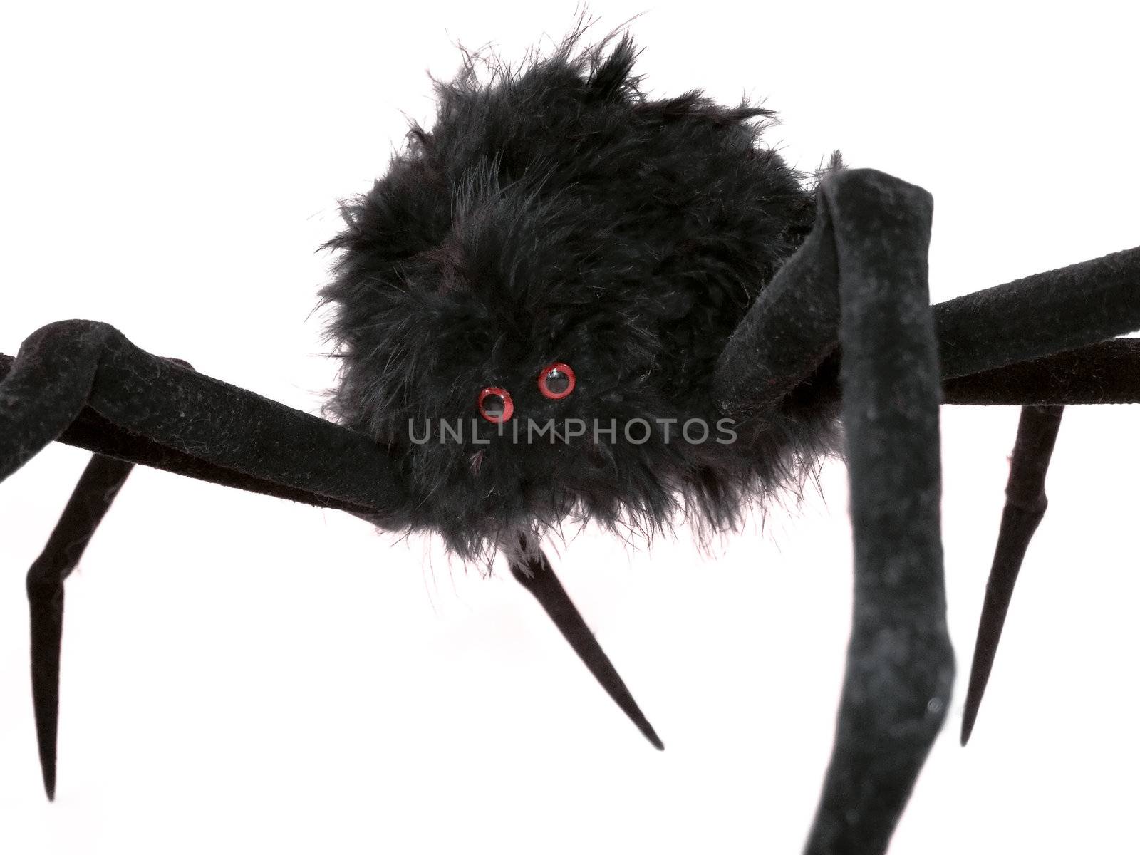 Black spider toy  by PauloResende