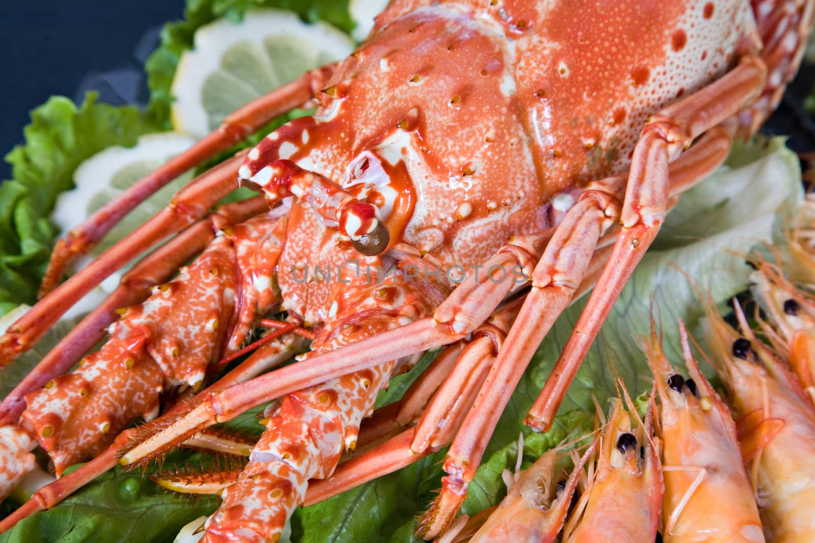 Fresh and delicious seafood - lobster and shrimp