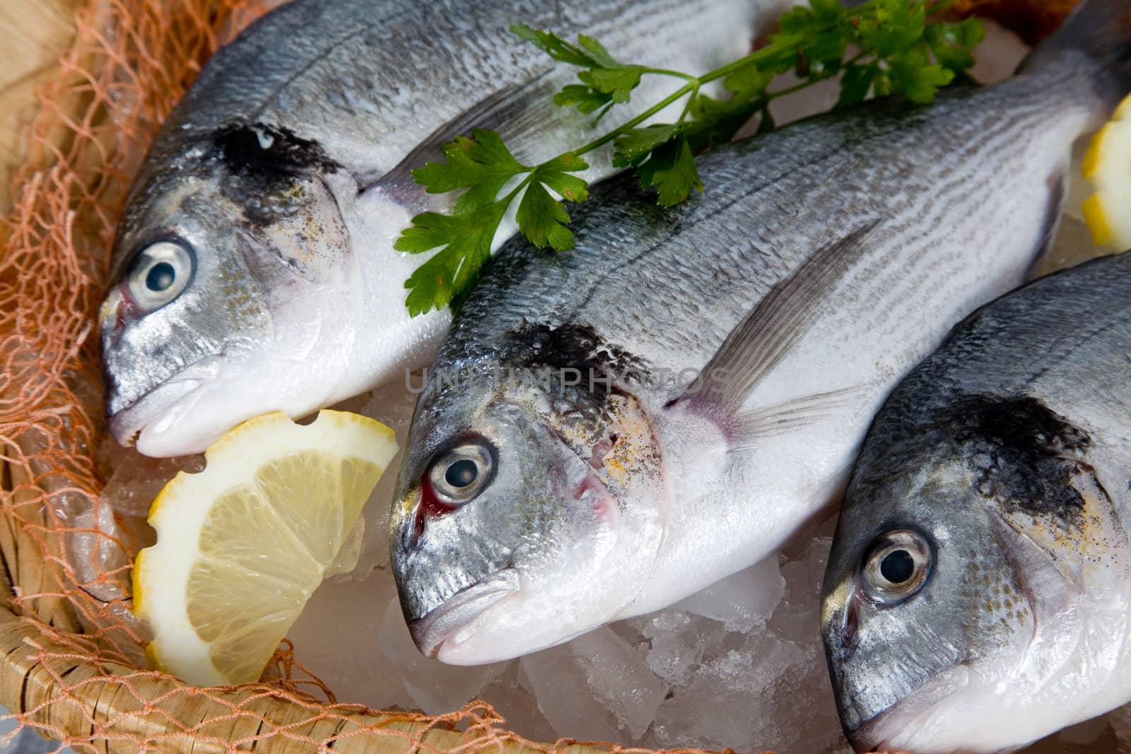 Fresh fish on ice waiting to be cooked