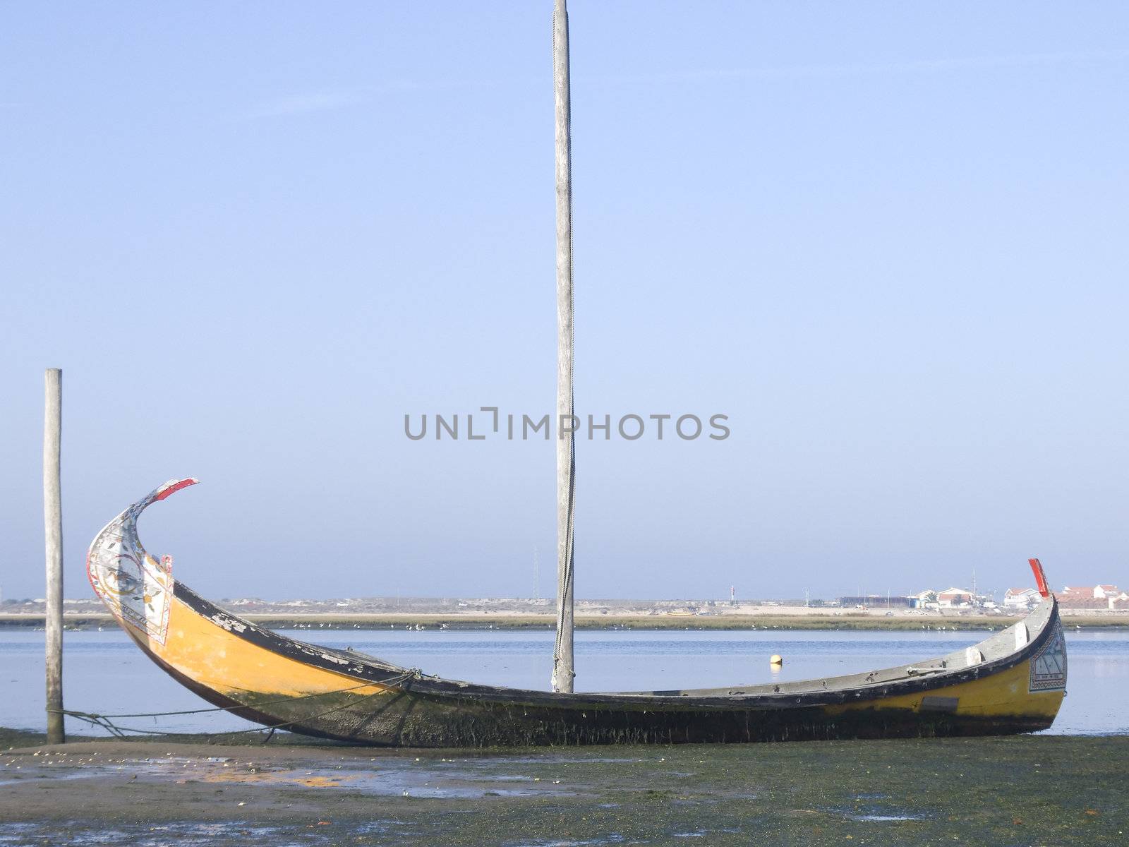 Typical moliceiro boat on land - Aveiro