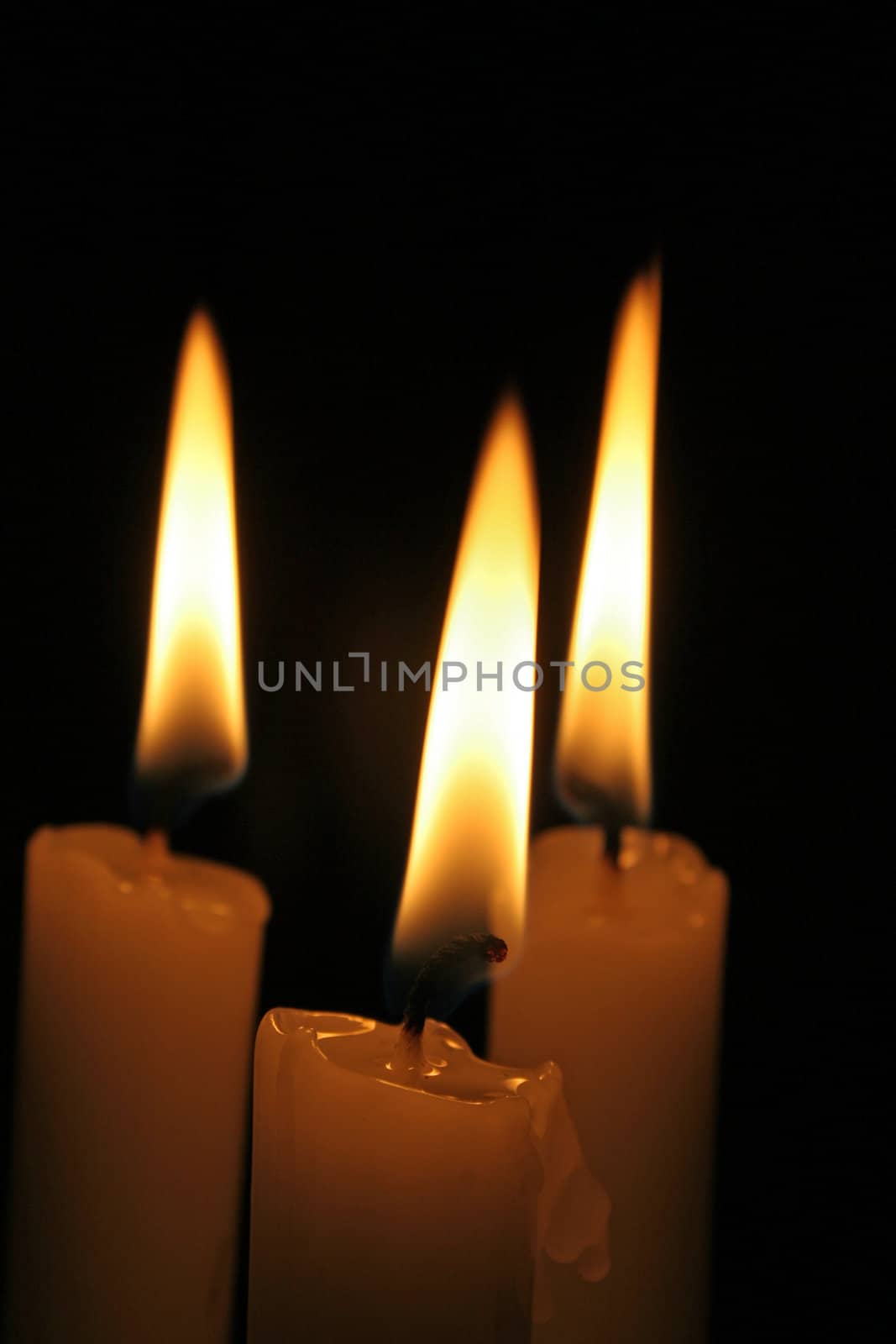 Three candles by Clivia