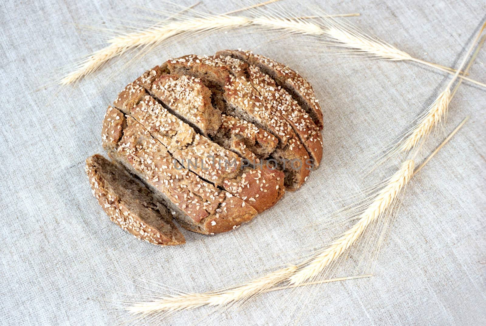 Sliced rye bread and spikes on canvas