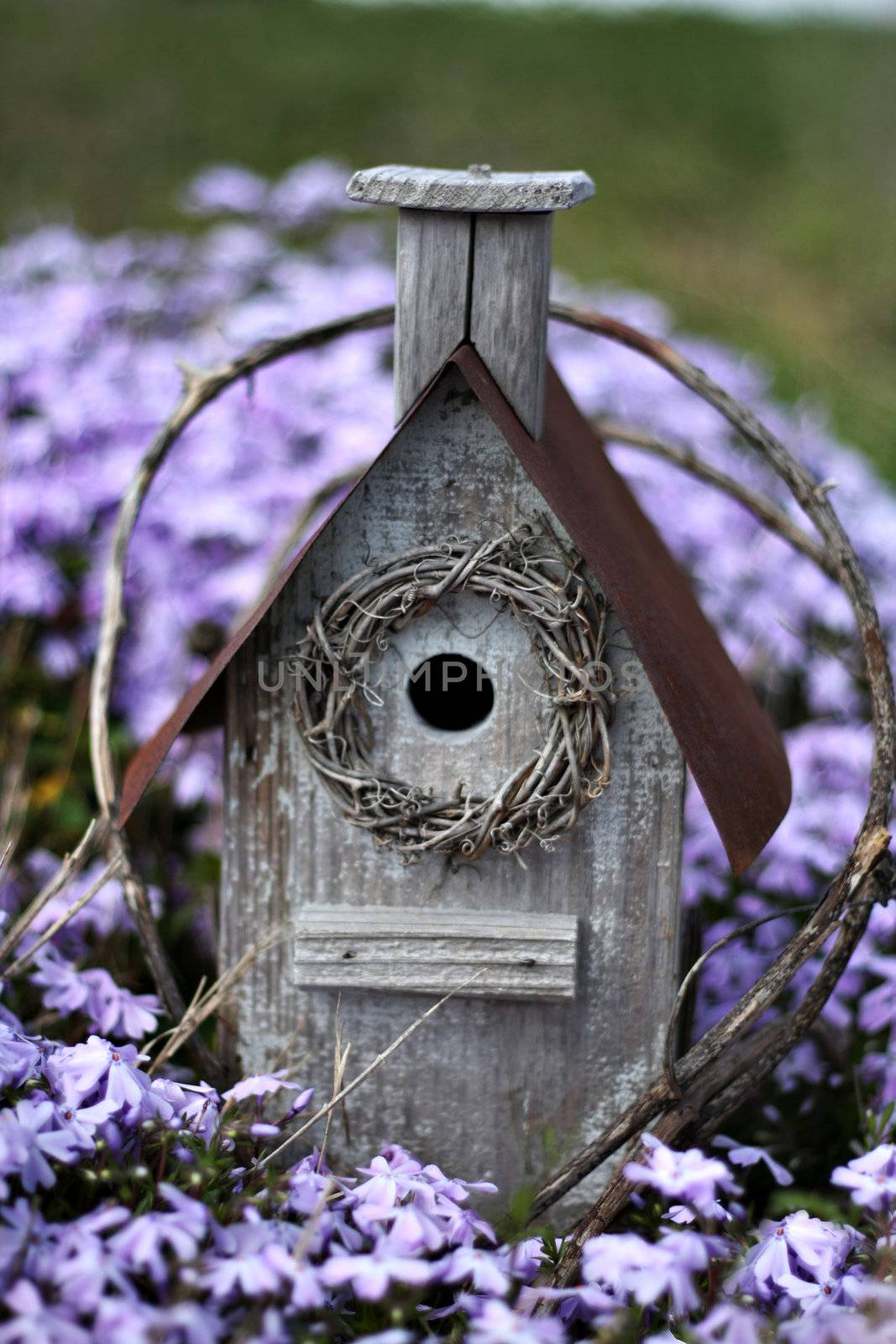 birdhouse  by StephanieFrey