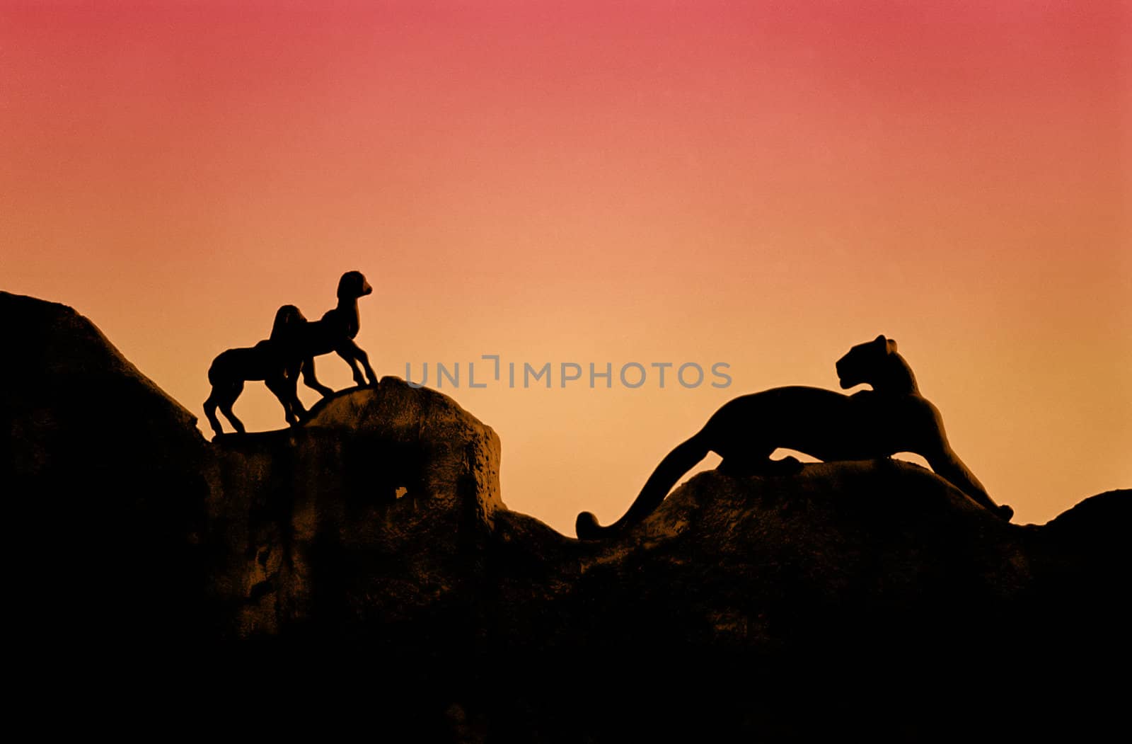 Silhouette of panther hunting lambs
