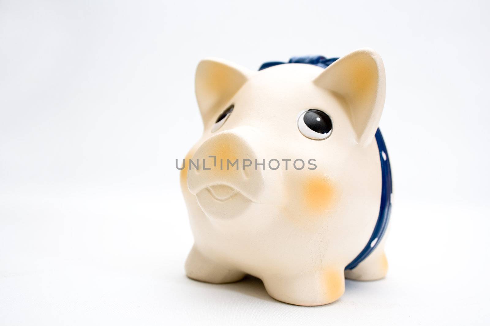 Cute piggy bank isolated on white background.