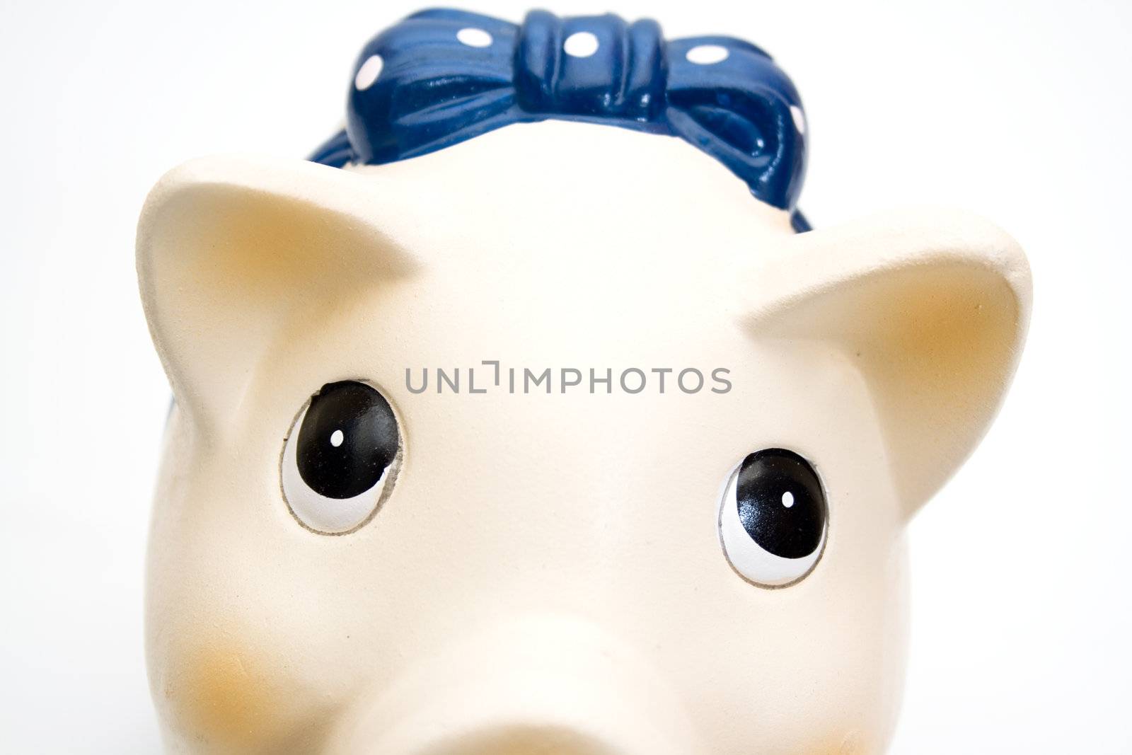 Cute piggy bank isolated on white background.