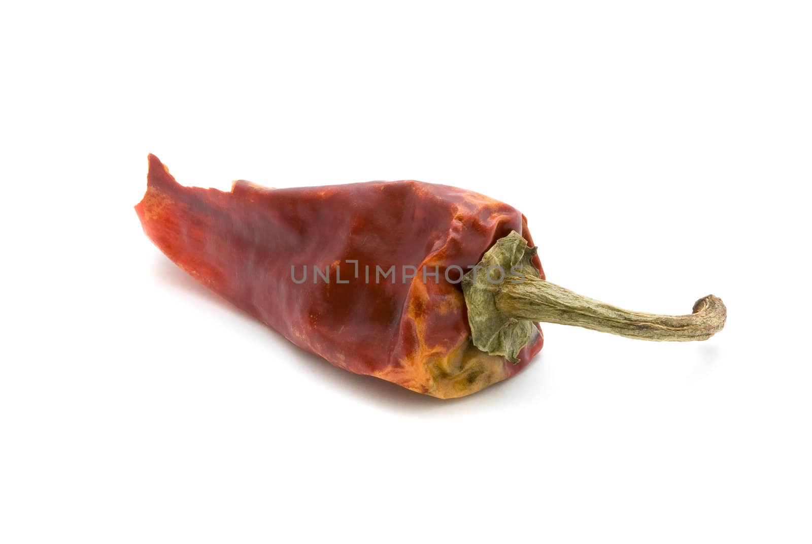 Hot dried red chili pepper, isolated white