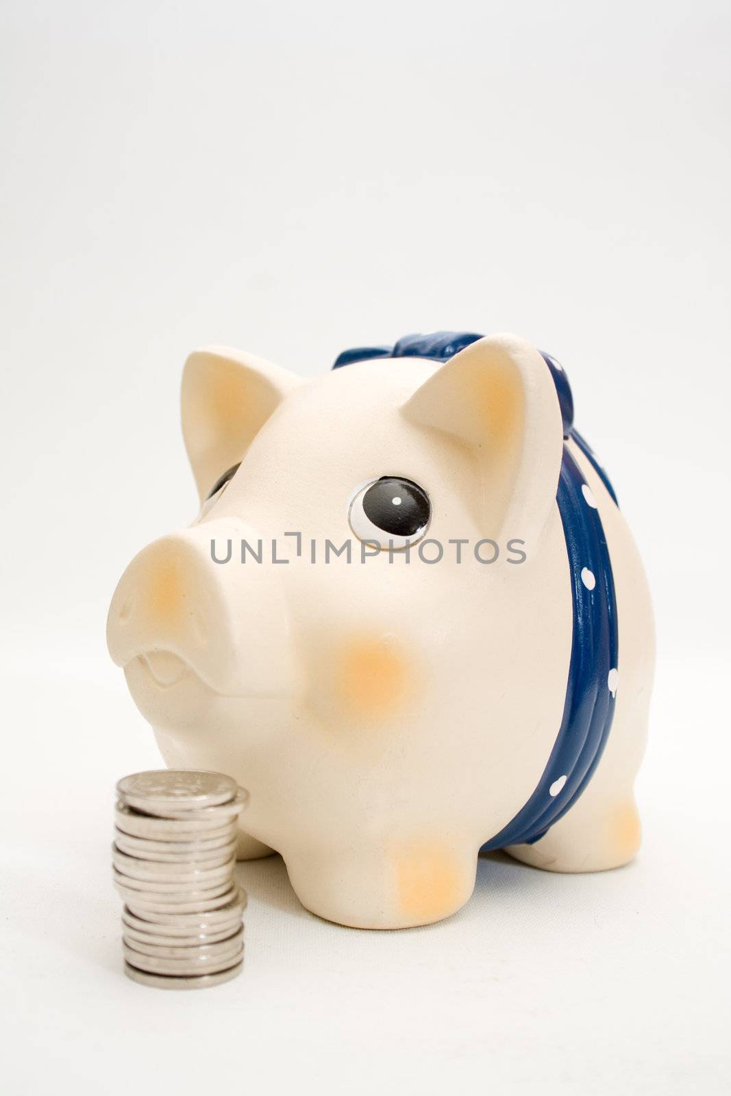 Cute piggy bank with coins isolated on white background.