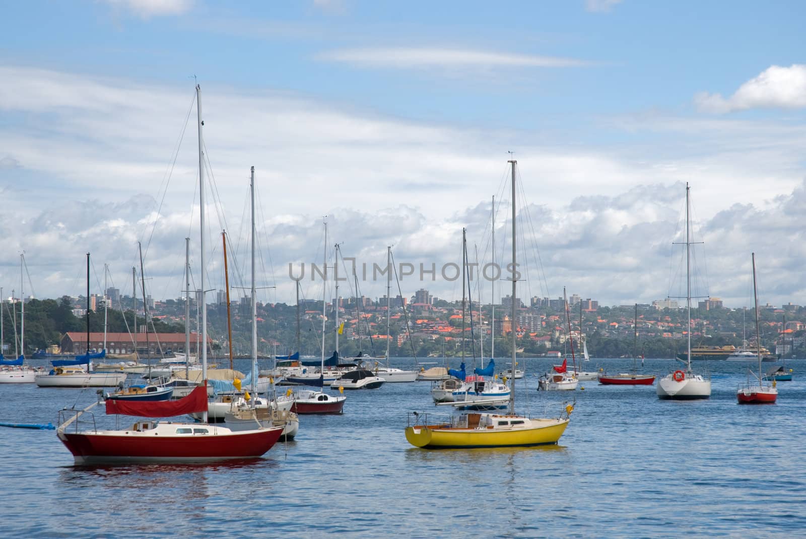 Colorful yachts in a summer bay