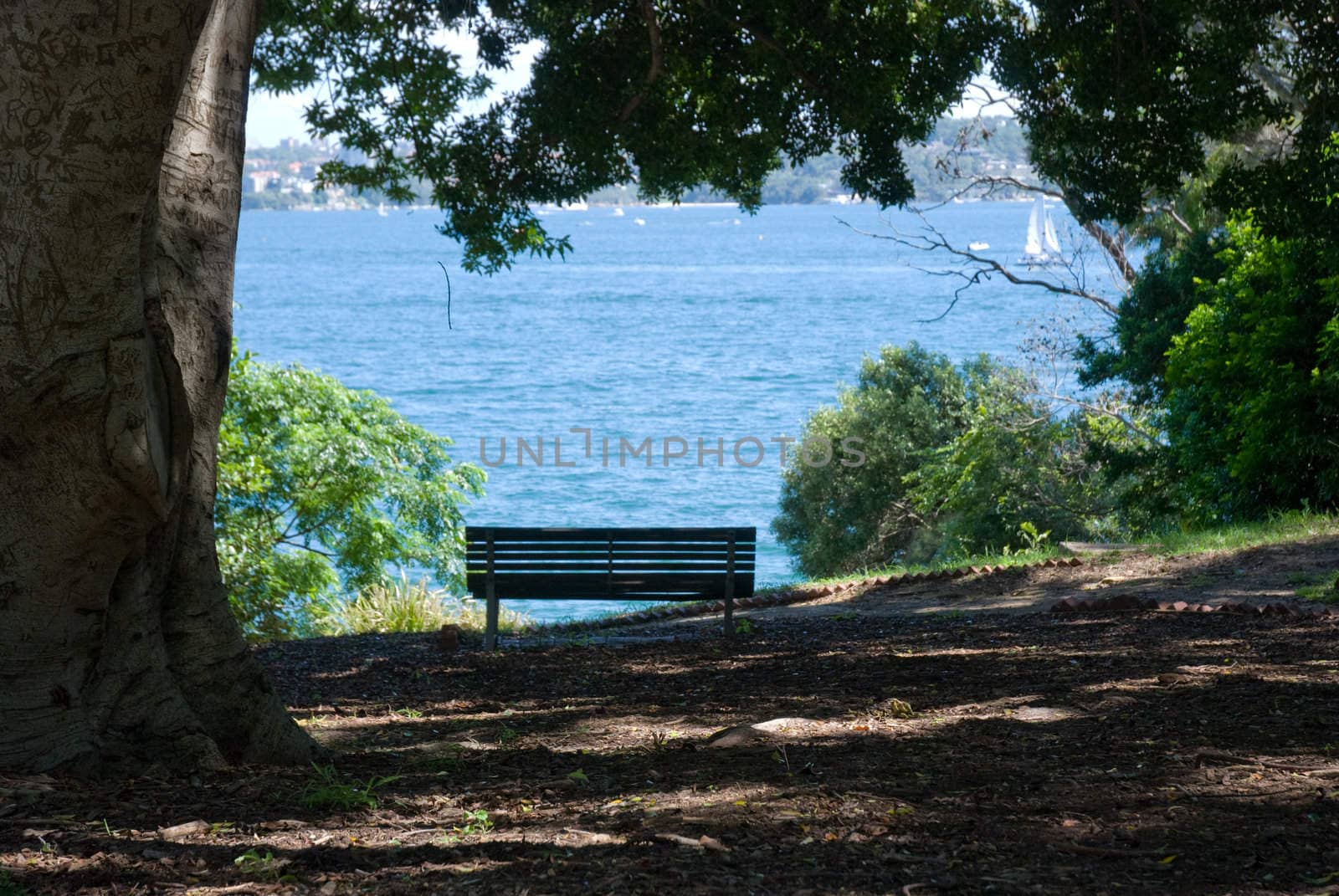 Lonly bench in a park at the sea