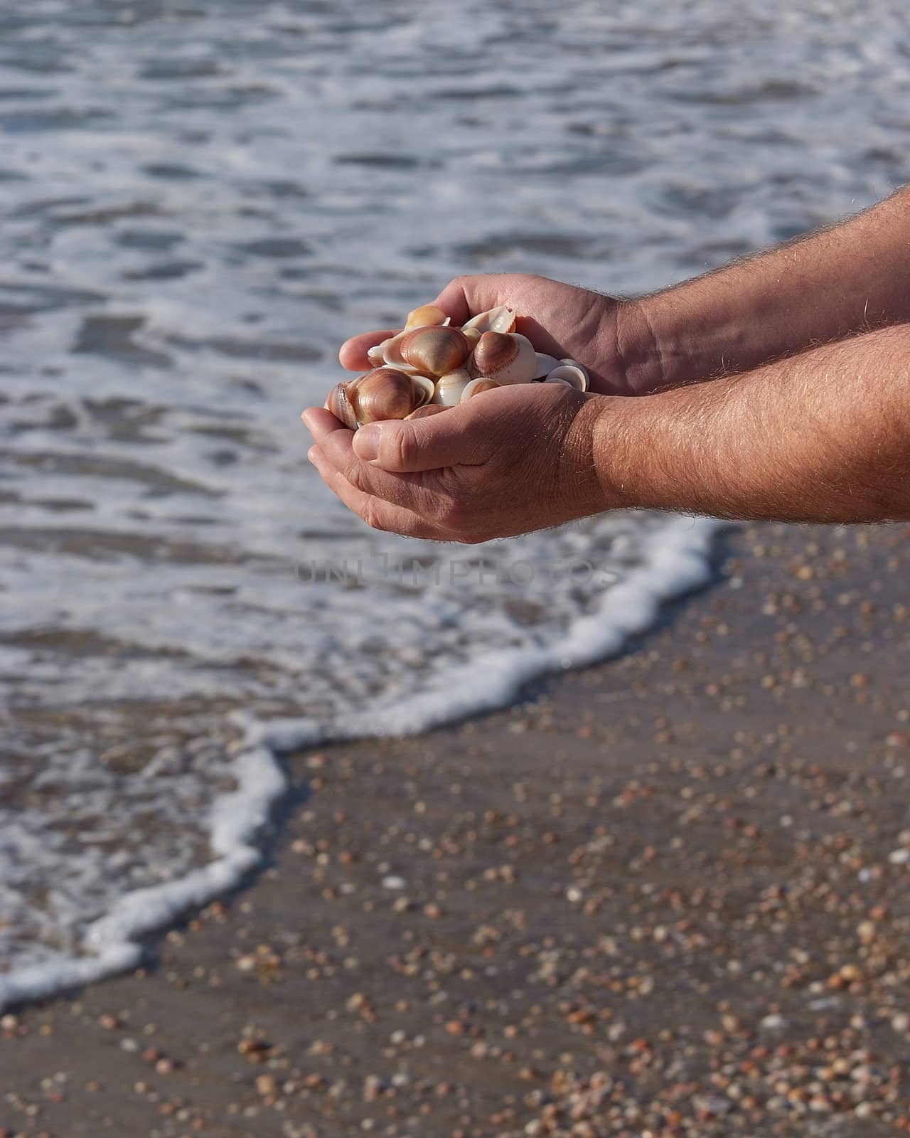 hands full of seashells by Maya