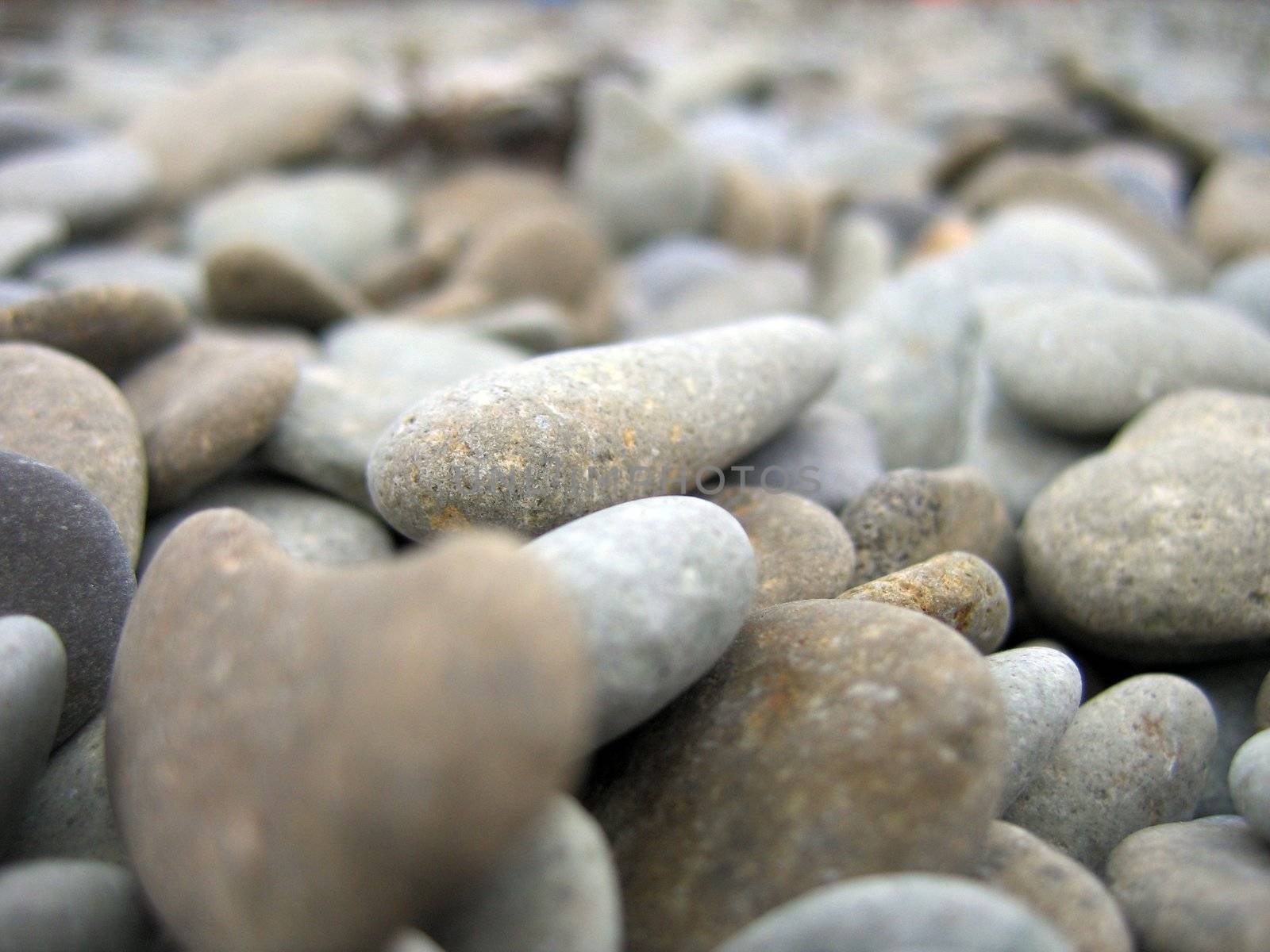 Pebbles on the beach with one heart-shaped in front