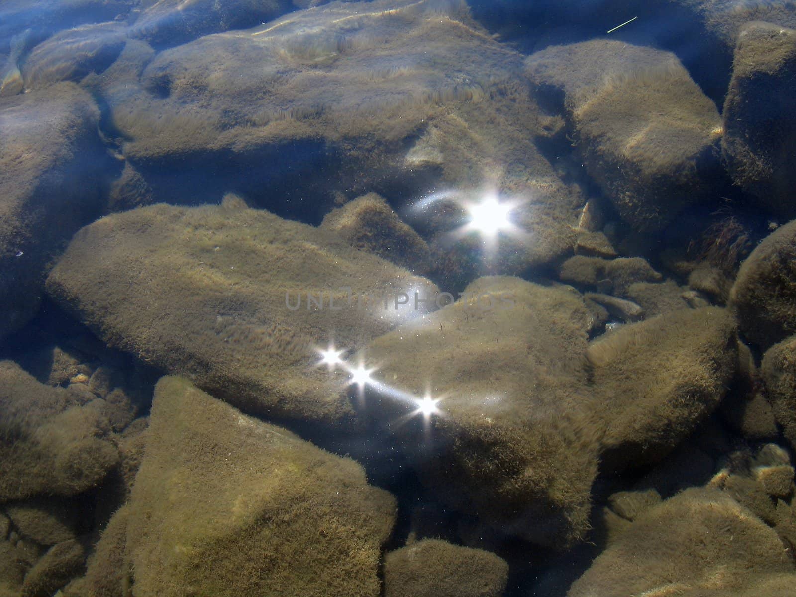 Underwater stones covered by algae with reflected light