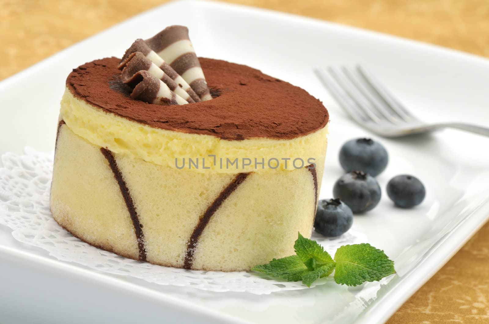 Cocoa and vanilla cake decorated with chocolate fan on a white plate with mint and blueberries