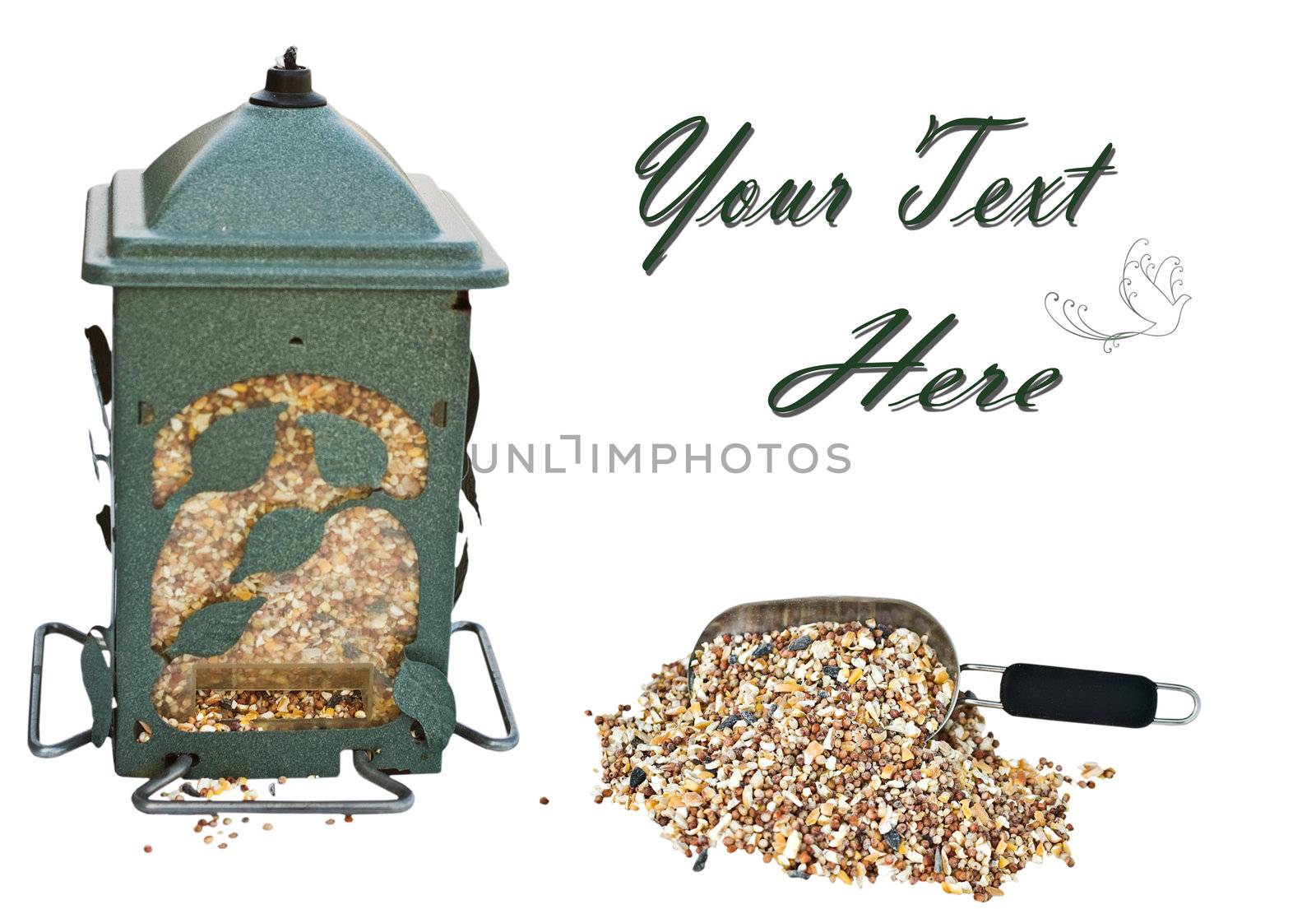 Bird feeder filled with seeds and isolated on white