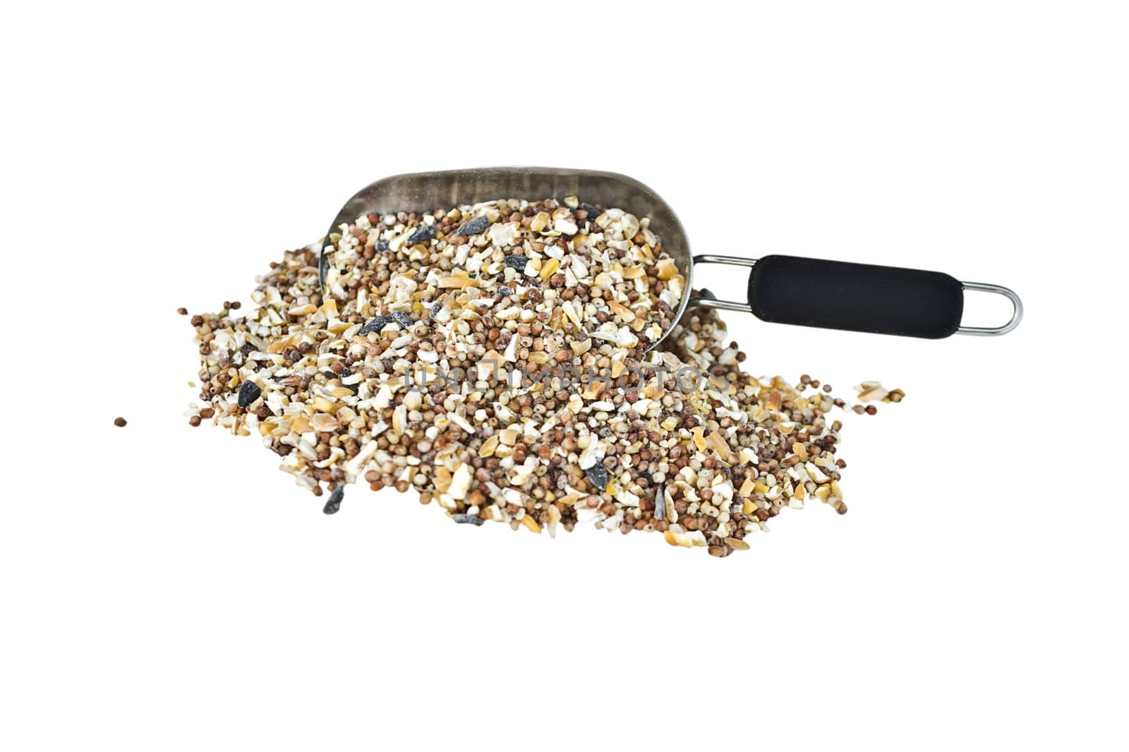scoop of wild bird seed isolated on a white background

