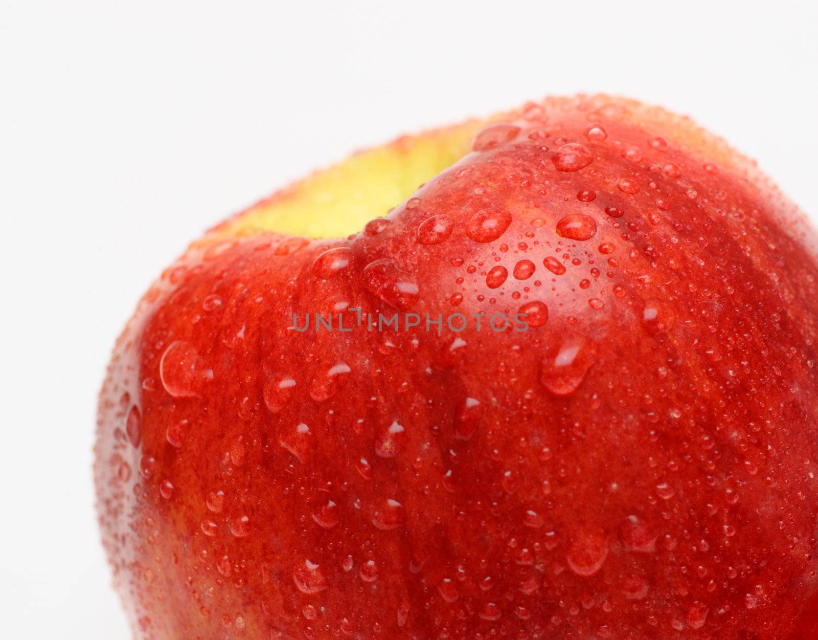 wet red apple with water drops close-up