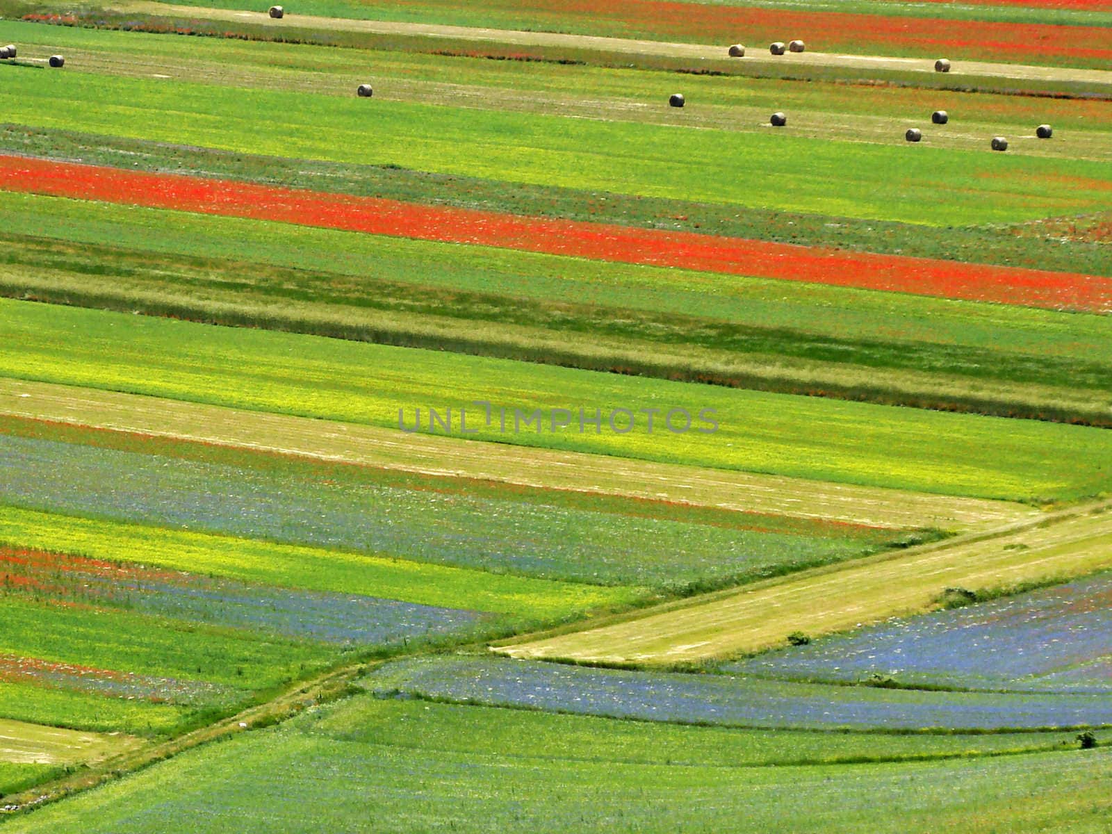 Aerial view of fields on Piano Grande plateau in the National Park of Sibillini Mountains Umbria central Italy. 2007