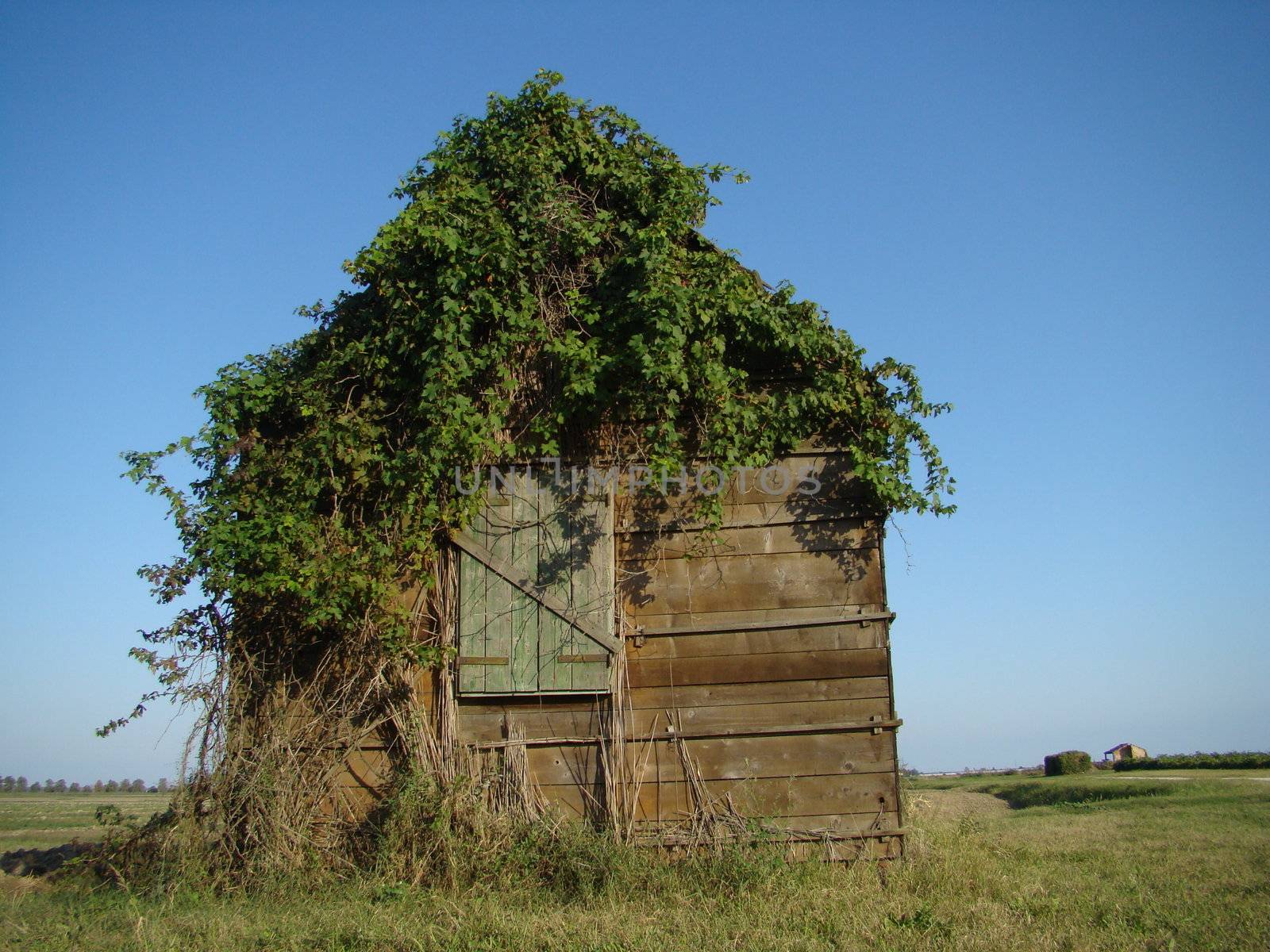 
old wooden huts near Pomposa abbey in Italy