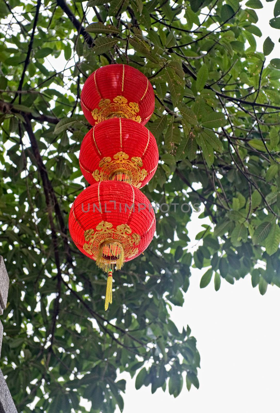 Decoration for Chinese new year, single red lantern blowing in the wind