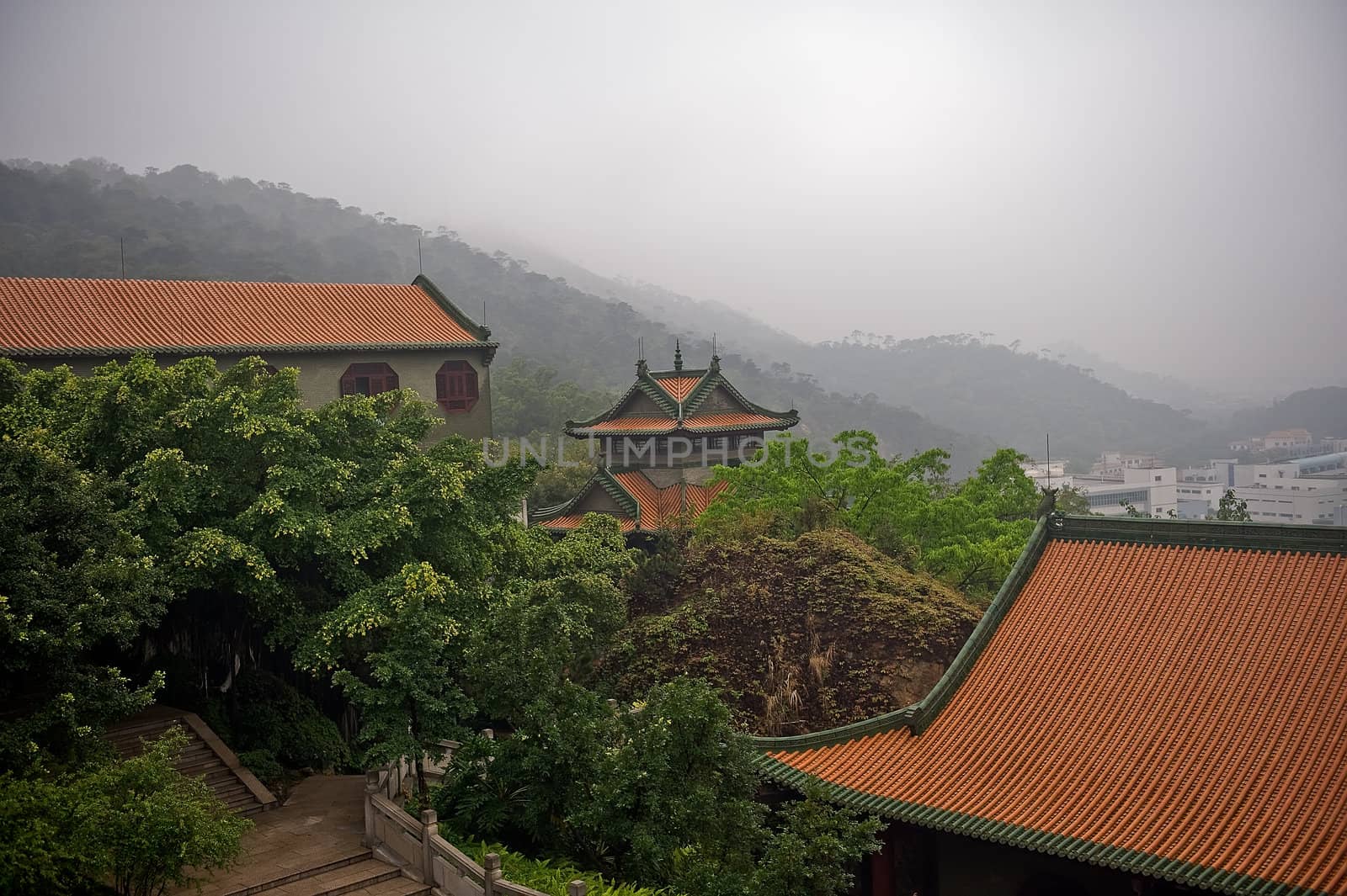 Baolin Temple in the forest by Marcus