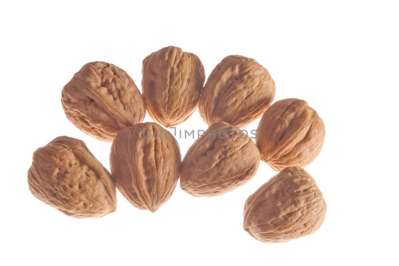 Isolated nuts studio composition on white background