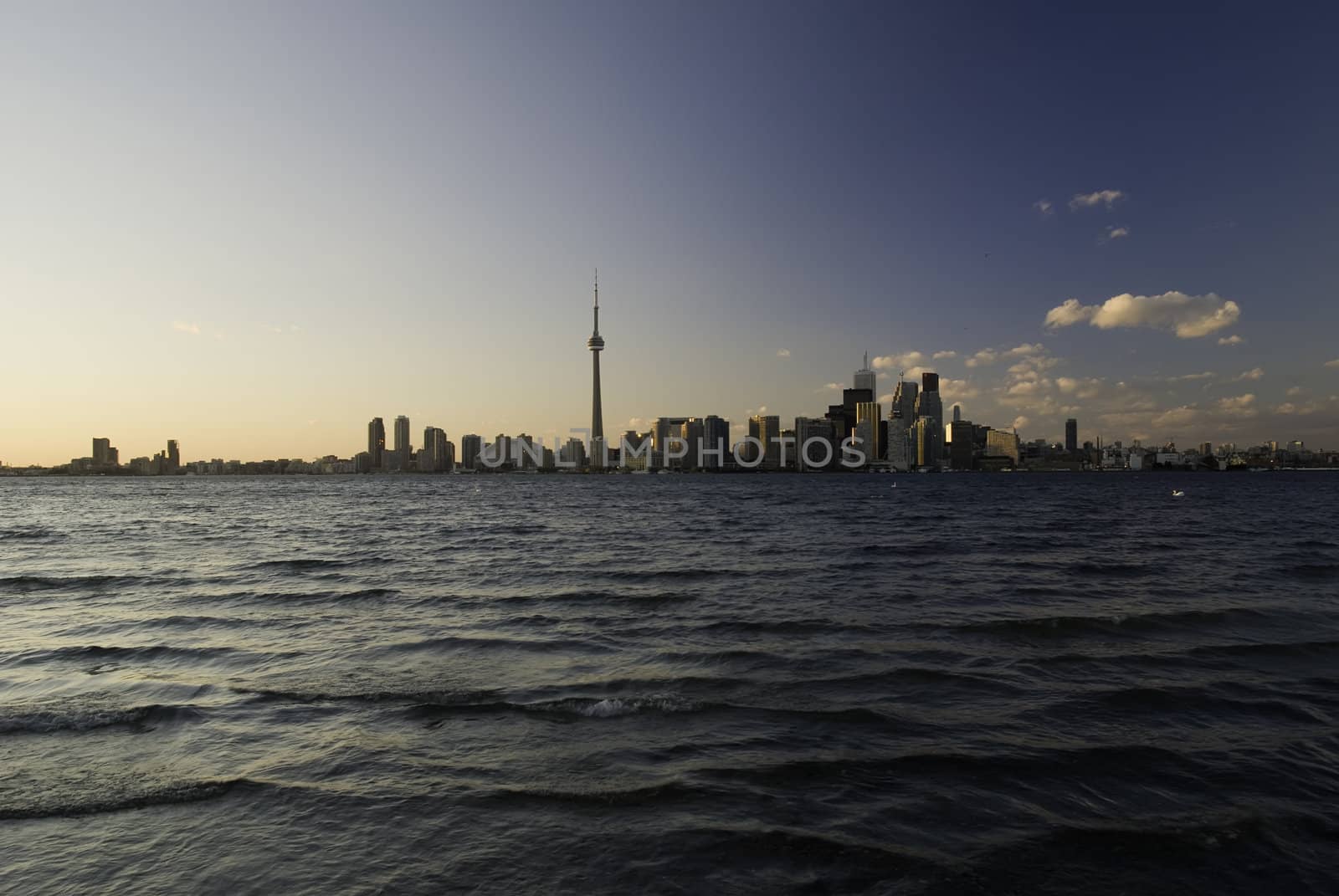 Toronto Downtown View by Marcus