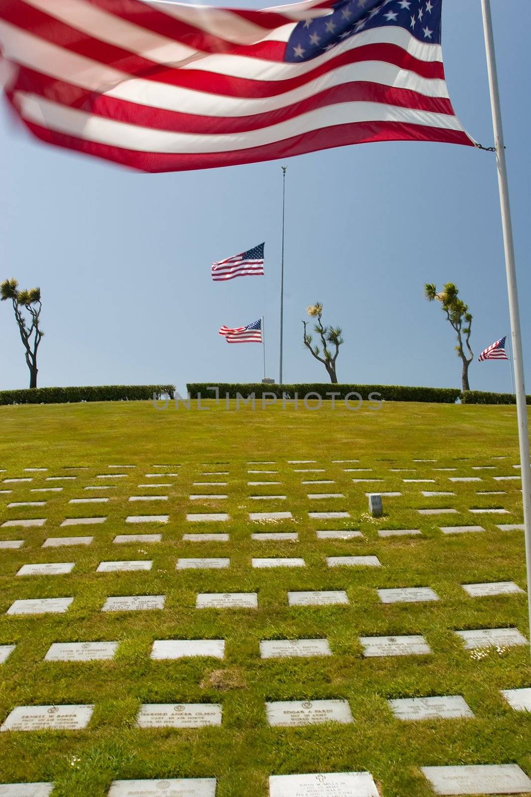 Memorial Day is U.S. Federal Holiday that is observed on the last Monday of May. This holiday commemorates U.S. men and women who have died in military service to their country.