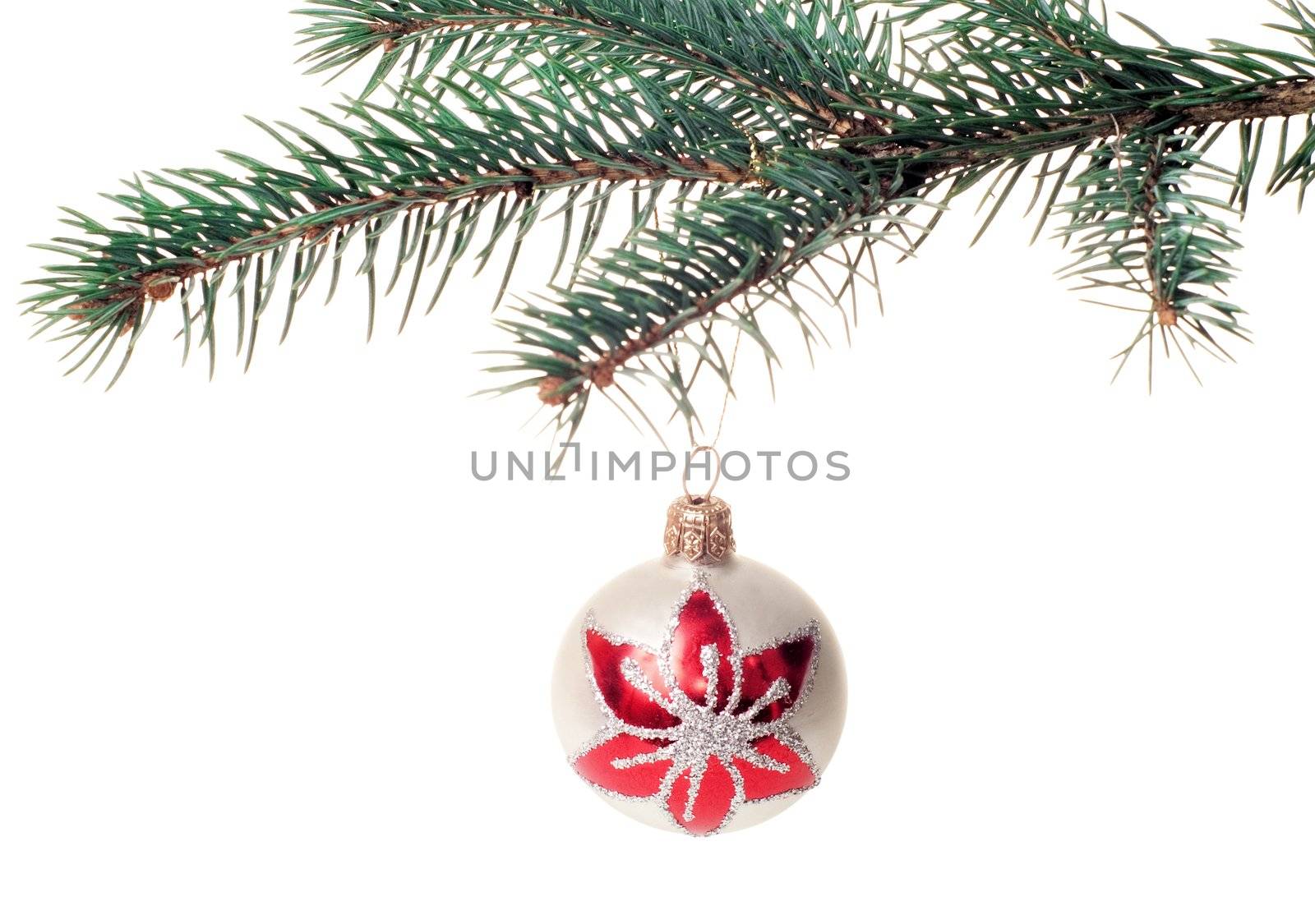 Christmas tree isolated