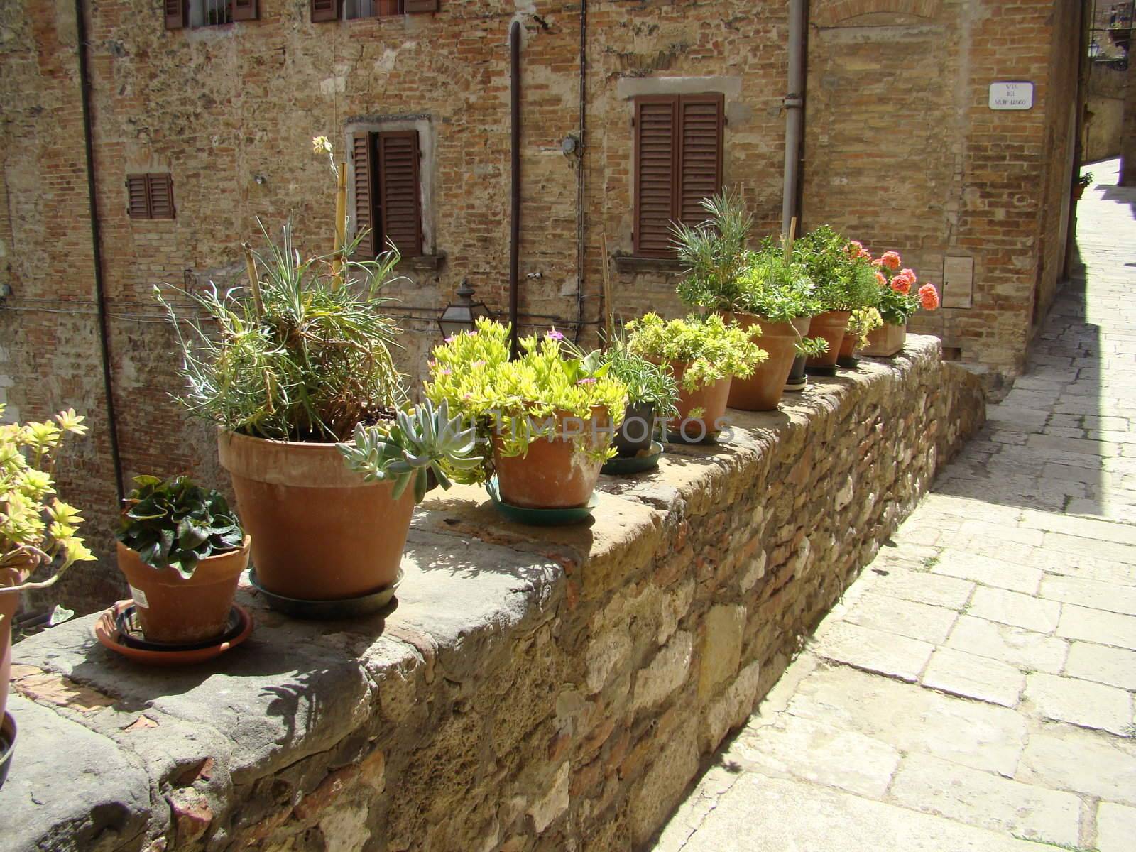 Colle di val d'Elsa,Tuscany,
Italy.