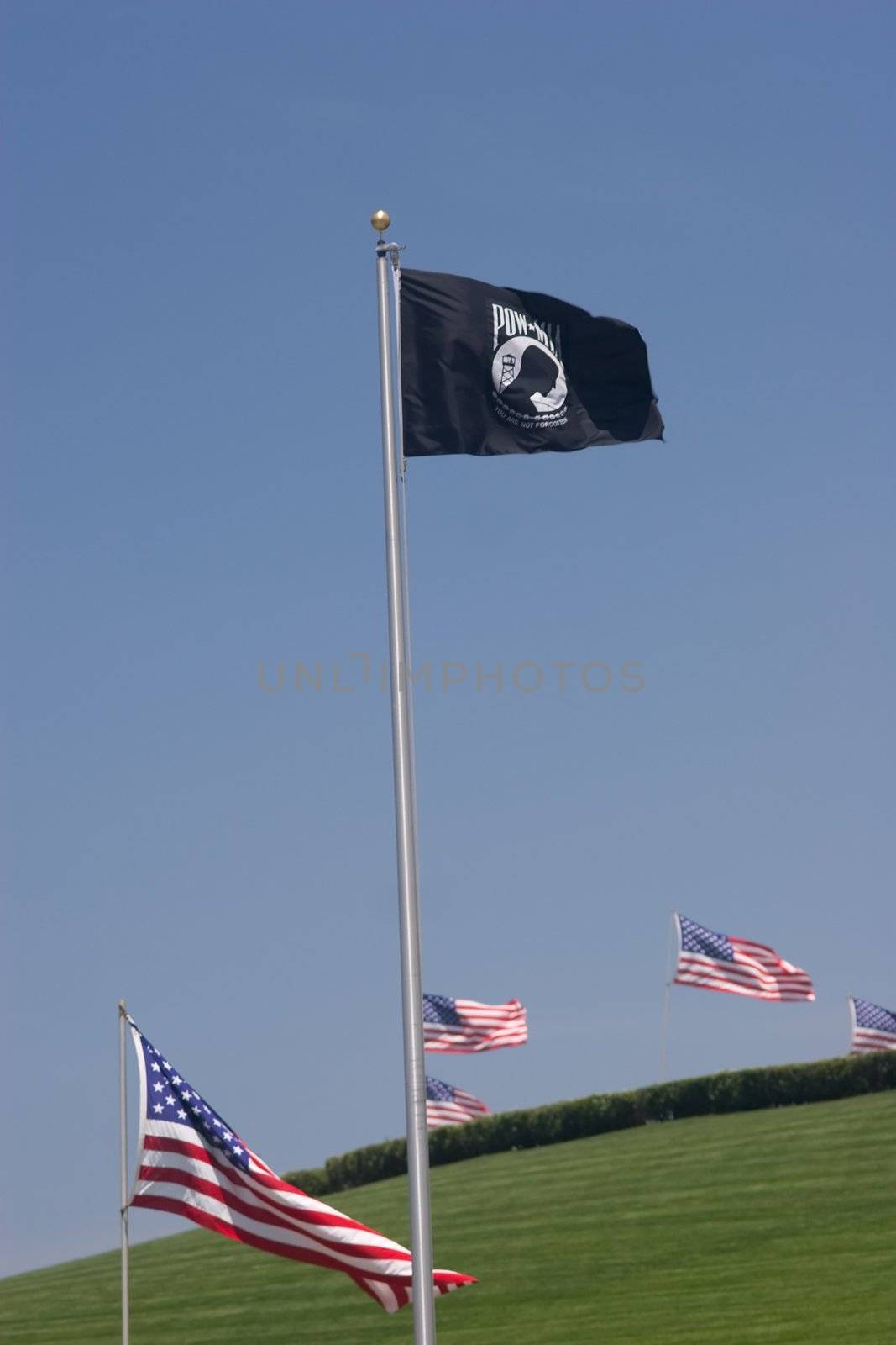 Memorial Day is U.S. Federal Holiday that is observed on the last Monday of May. This holiday commemorates U.S. men and women who have died in military service to their country.